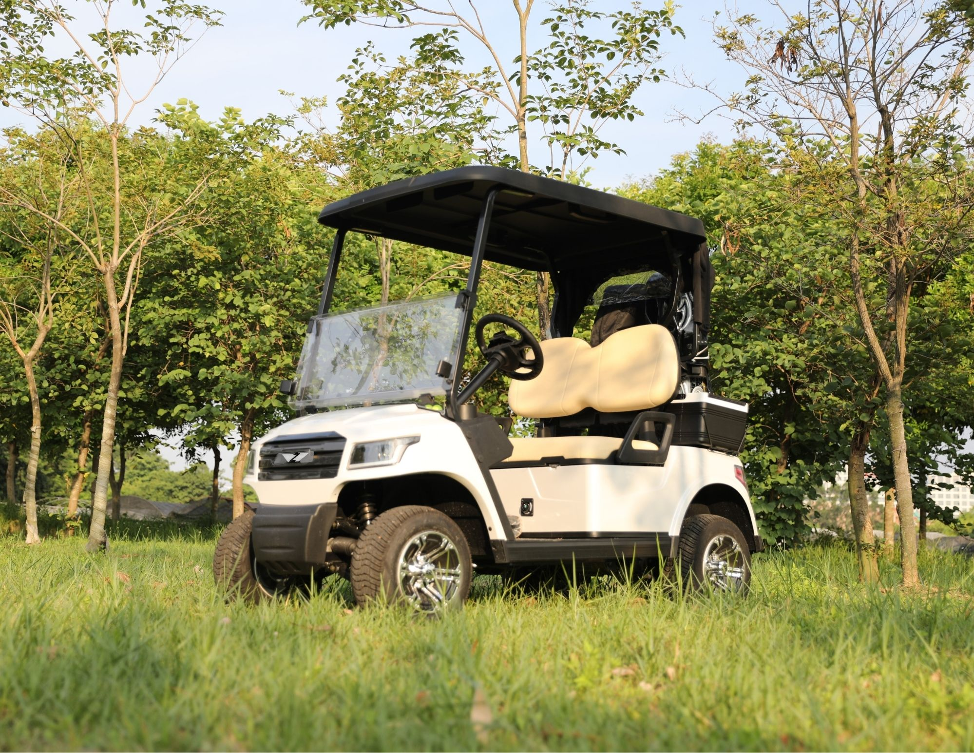 Zippy Siera 2 F2 — Premium 2-Seater Electric Golf Cart, view 1