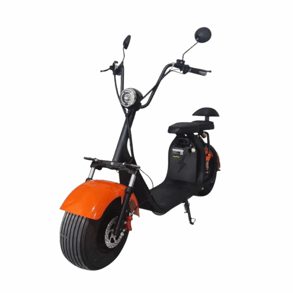 Zippy Scooter EV-1500