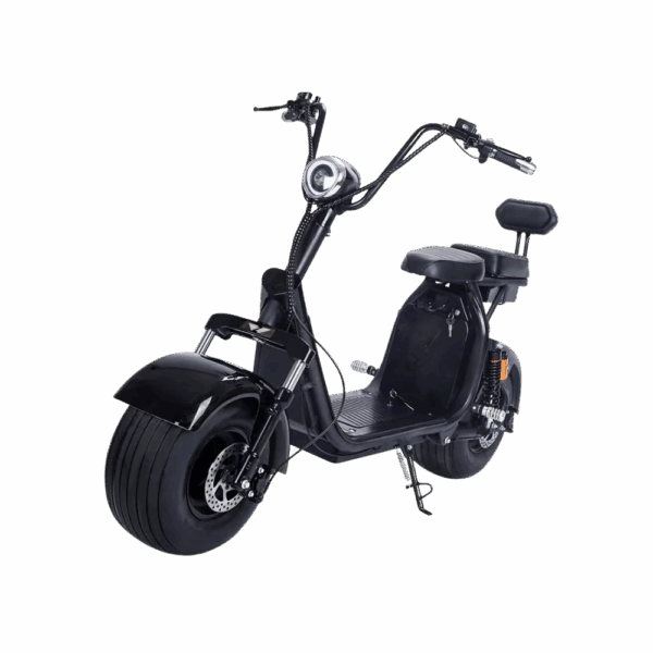 Zippy Scooter EV-2000