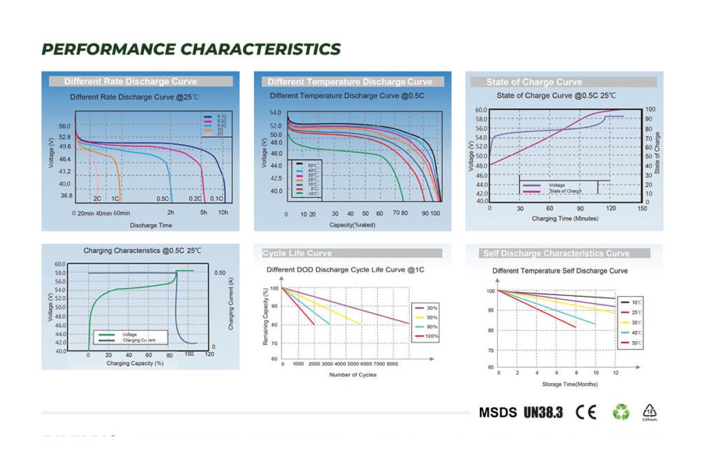 Zippy Global Trading Lithium Battery LIFEPO4 Performance Characteristics