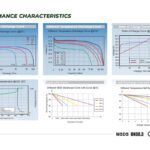 Zippy Global Trading Lithium Battery LIFEPO4 Performance Characteristics