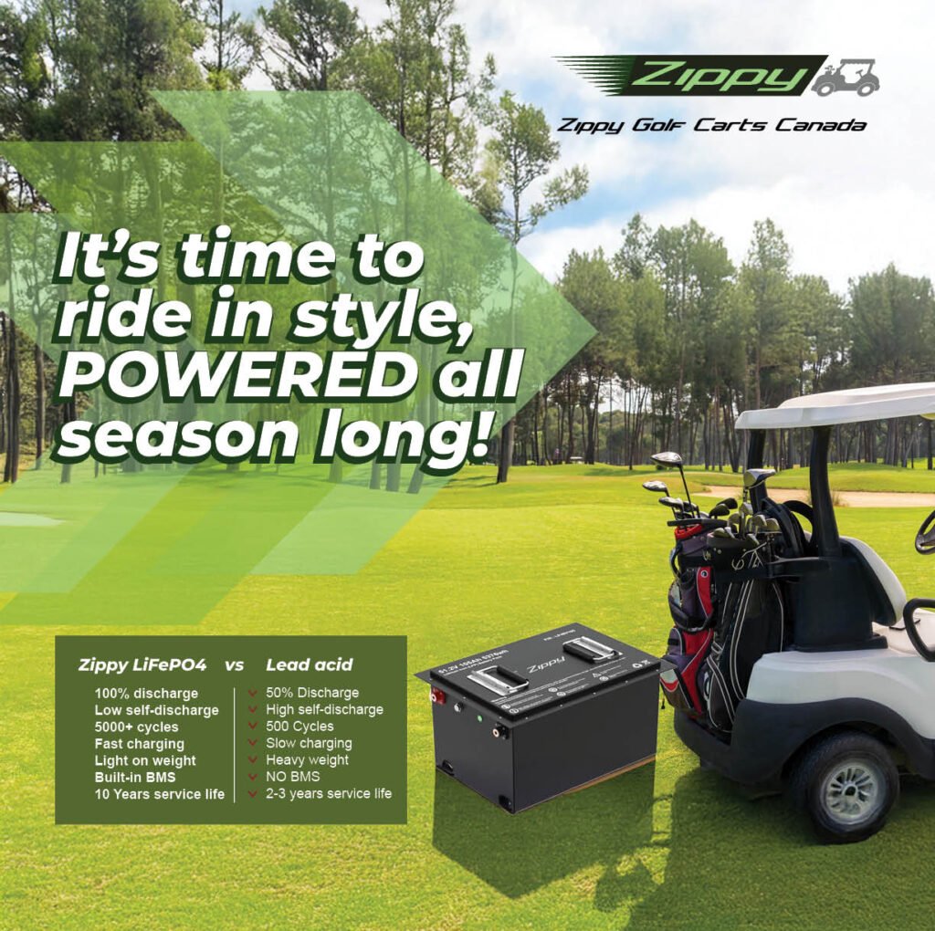 Zippy Global Trading Lithium Battery LIFEPO4