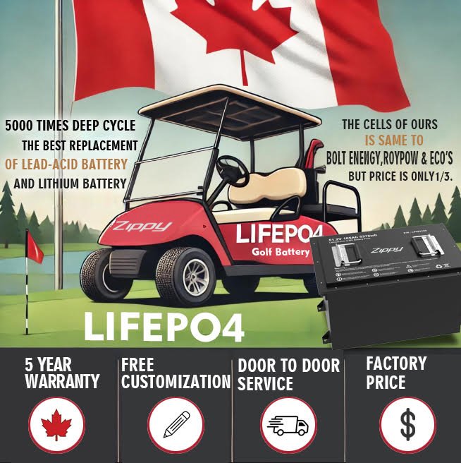 Zippy Global Trading Lithium Battery LIFEPO4