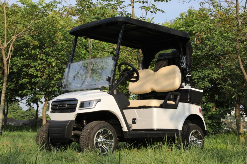 Electric golf cart in Niagara Falls Ontario