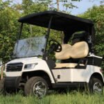 Electric golf cart in Niagara Falls Ontario